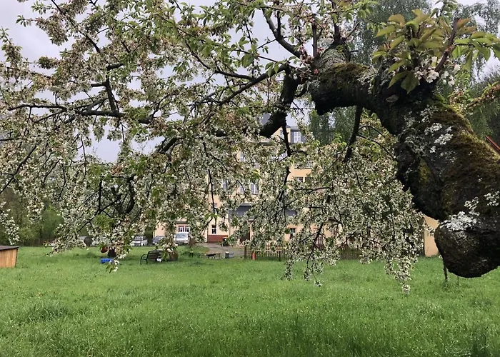 Gaestewohnung Am Museum Daire *